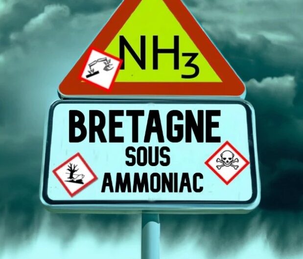 # 3/3 – Ammoniac : le Palmarès des communes bretonnes